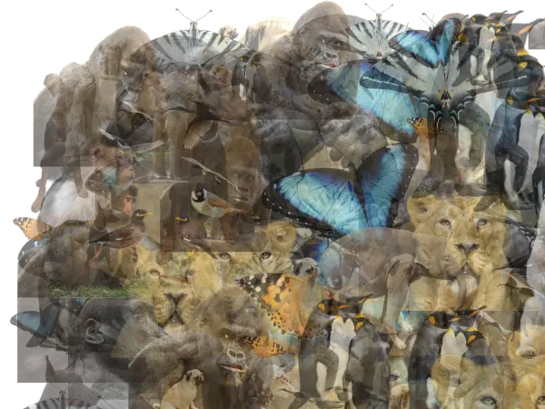 Two Two - from the Debris Collection