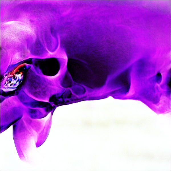 a skull swallowing purple fire "a skull swallowing purple fire" - 1