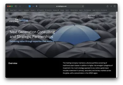Screenshot of The Holding Company website. holdingco.com
